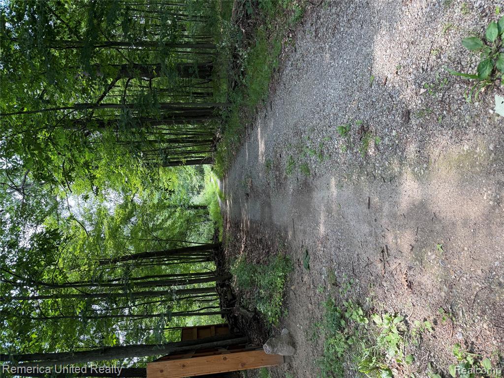 5550 Fisher Road, Howell, MI 48855 — Photo 4
