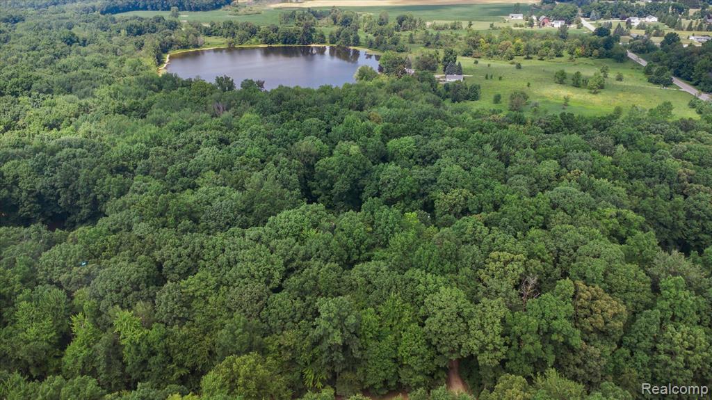 5849 Whispering Oaks Drive, Howell, MI 48855 — Photo 45