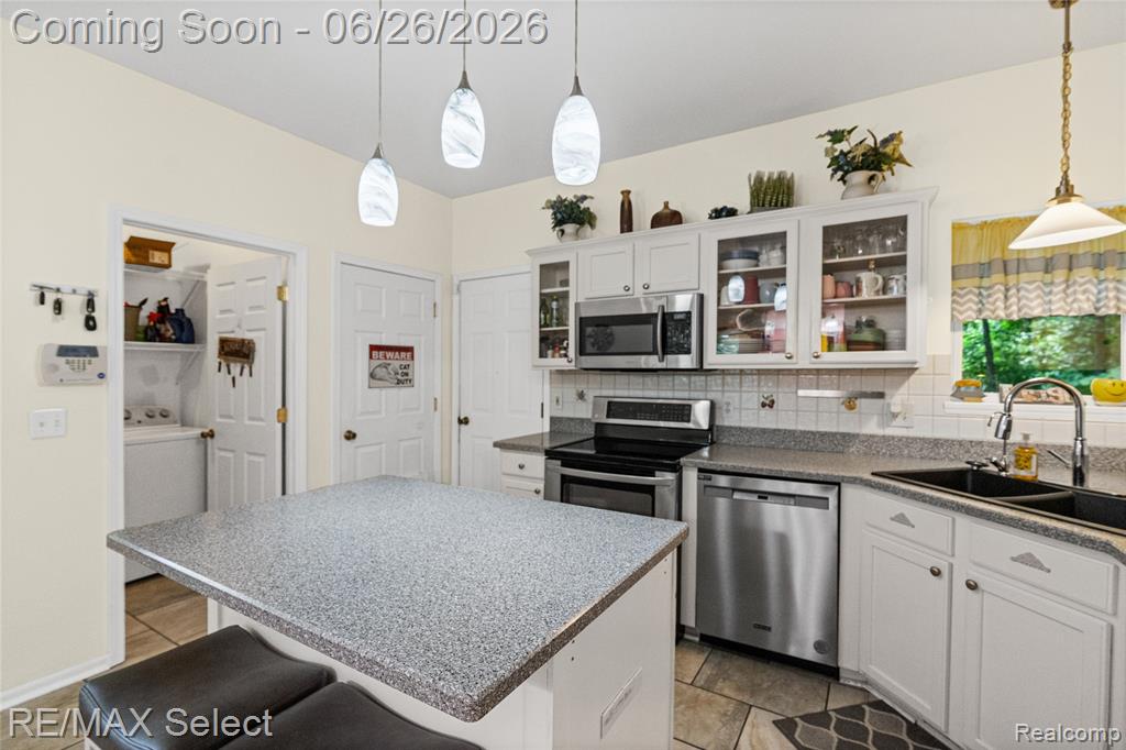 4449 Pondview Drive, Swartz Creek, MI 48473 — Photo 17