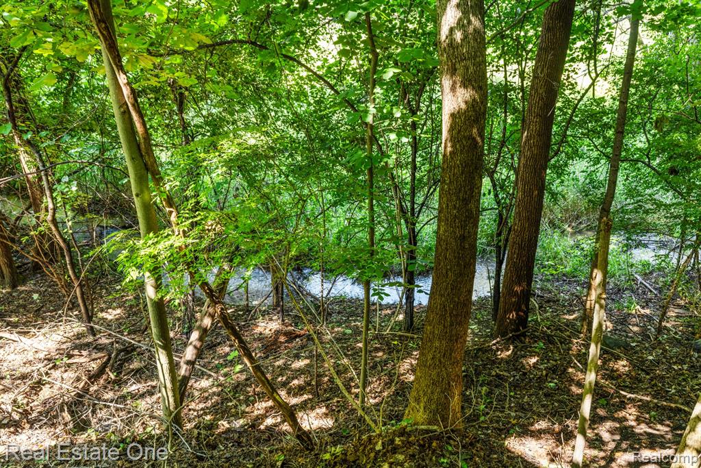 44211 CHEDWORTH Drive, Northville, MI 48167 — Photo 58