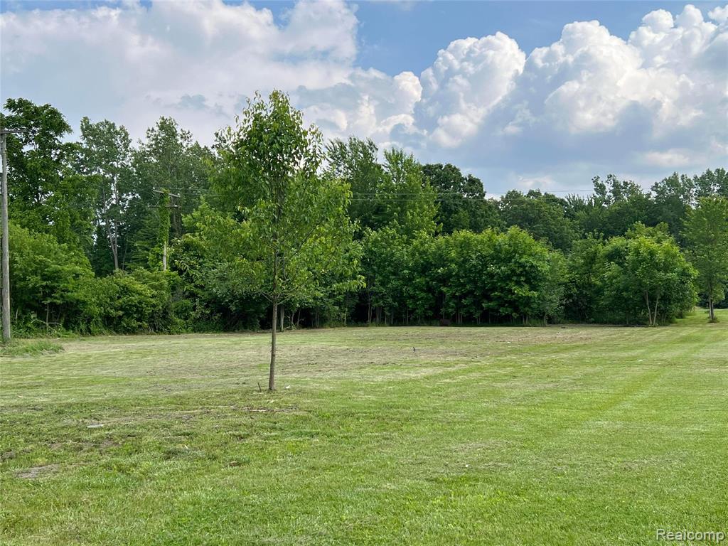 VACANT LAND Judd Road, New Boston, MI 48164 — Photo 5