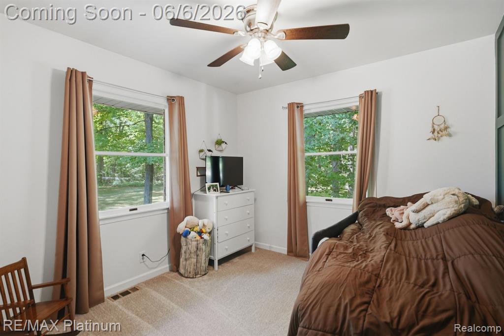 1539 Clark Lake Road, Brighton, MI 48114 — Photo 11
