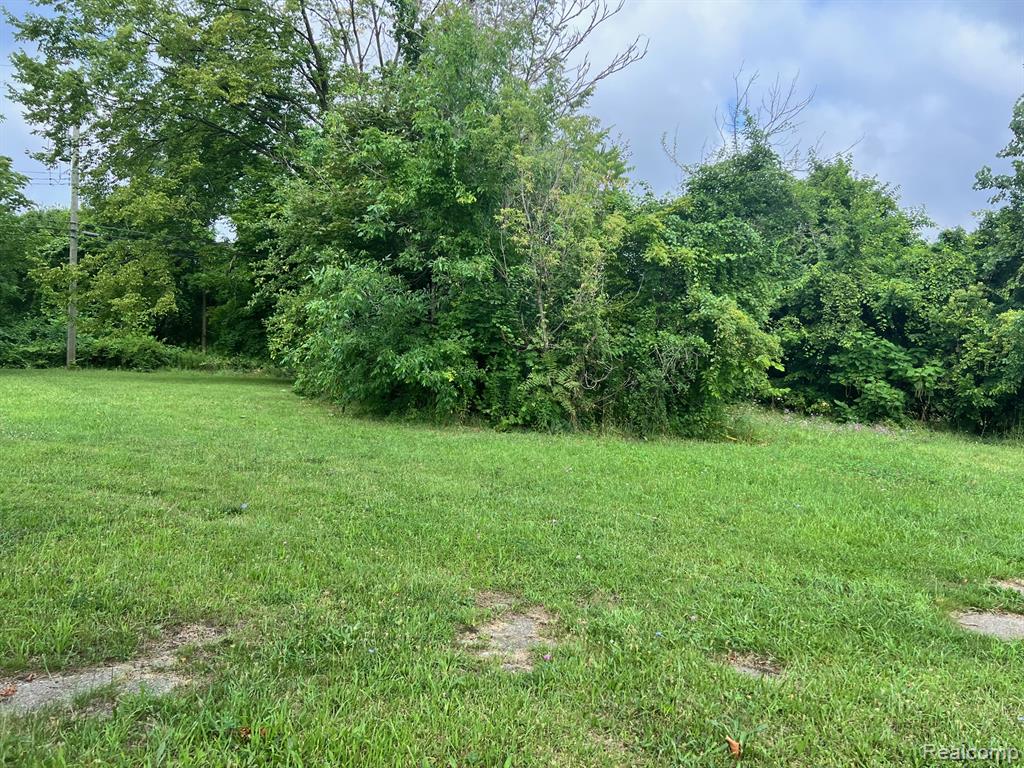 9149 Delmar Street, Detroit, MI 48211 — Photo 4