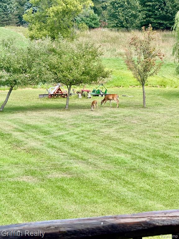 5748 W Coon Lake Road, Howell, MI 48843 — Photo 59