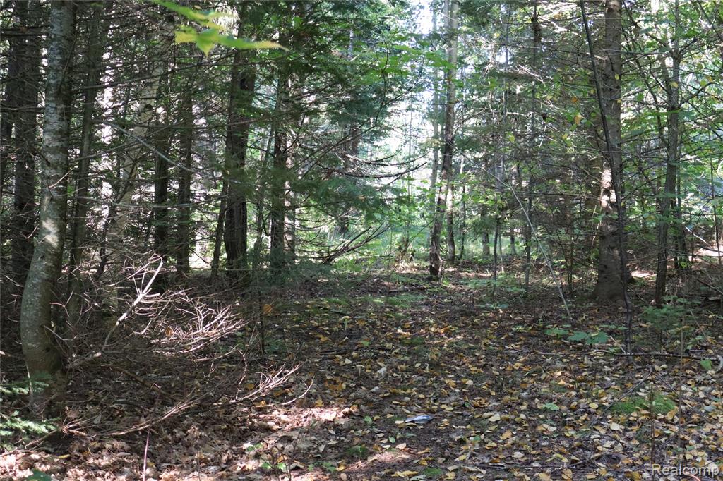 Lot D W Pendills Lake Road, Brimley, MI 49715 — Photo 37