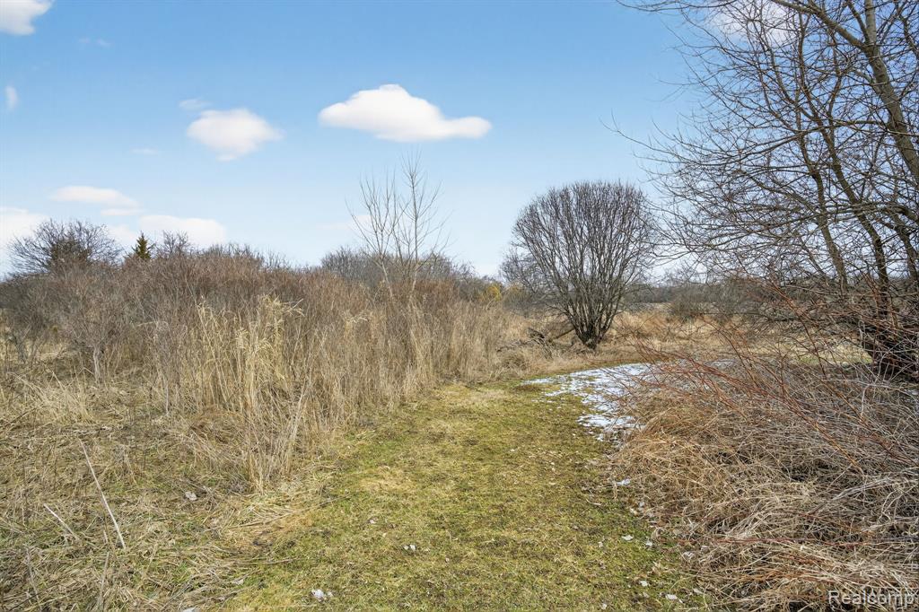 6074 Lennon Road, Swartz Creek, MI 48473 — Photo 41