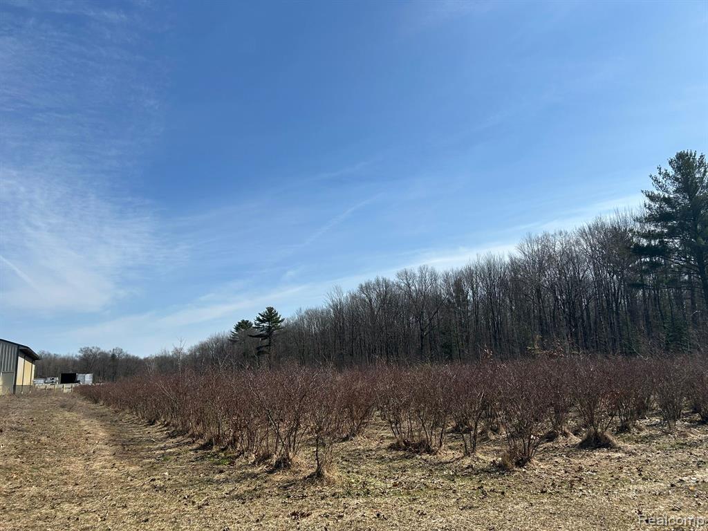 6080 Jensen Road, Fruitport, MI 49415 — Photo 5
