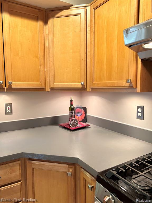 5844 Crandall Road, Howell, MI 48855 — Photo 17