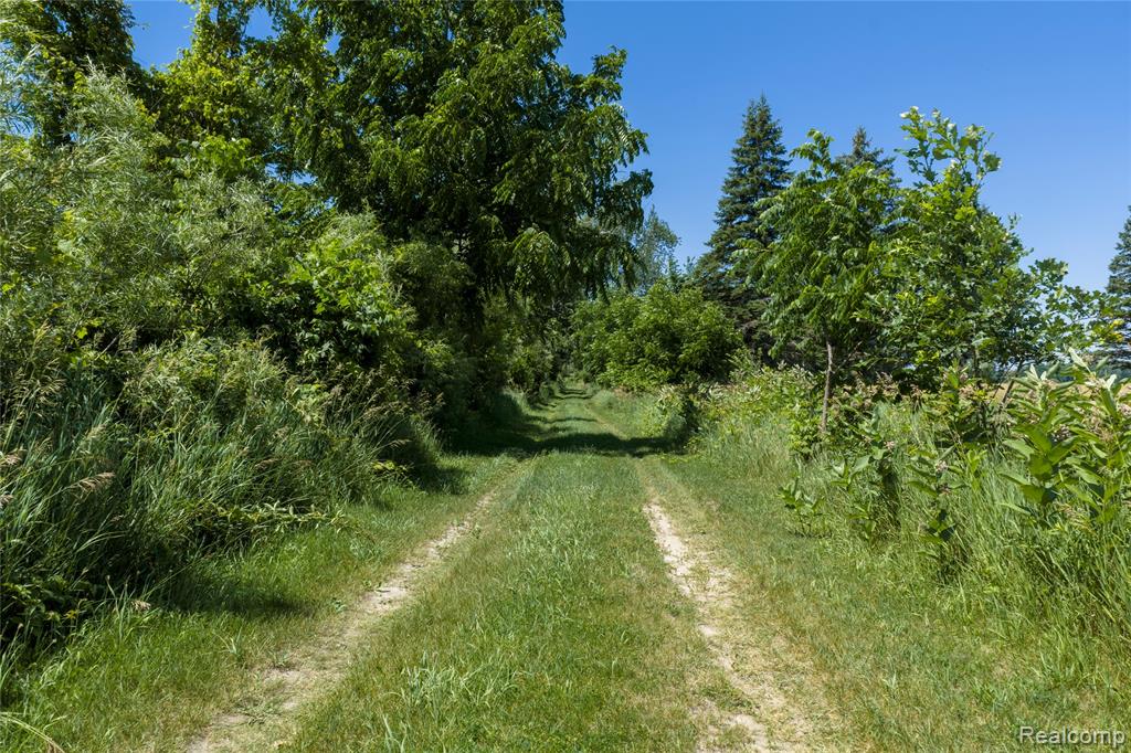 Parcel A Dodge Rd, Cass City, MI 48726 — Photo 9
