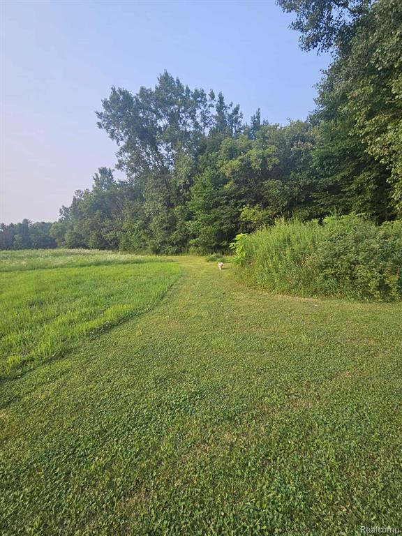3490 Levalley Road, Columbiaville, MI 48421 — Photo 18