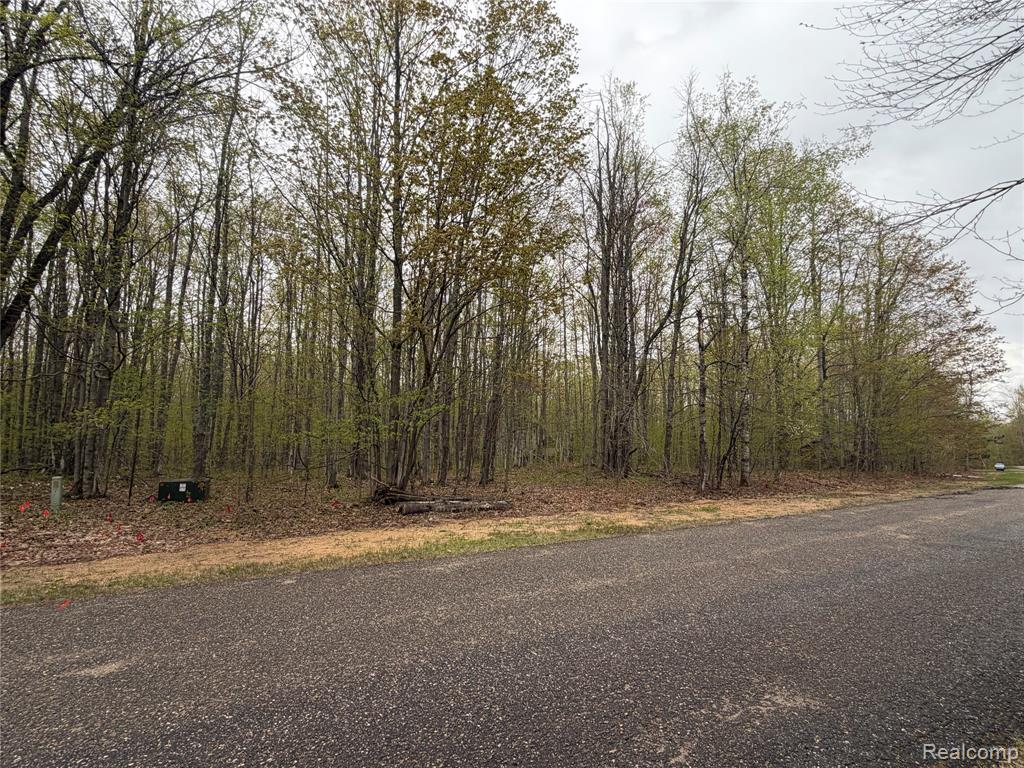 8641 Springdale Drive, Elmira, MI 49730 — Photo 24