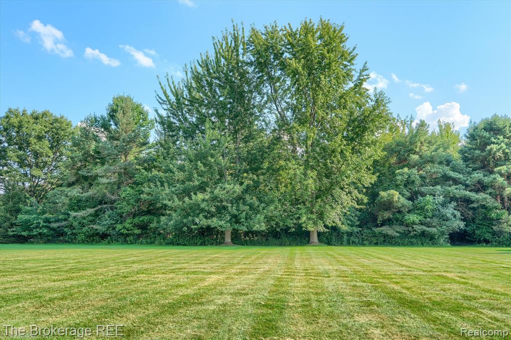 5331 W Farrand Road, Clio, MI 48420 — Photo 8