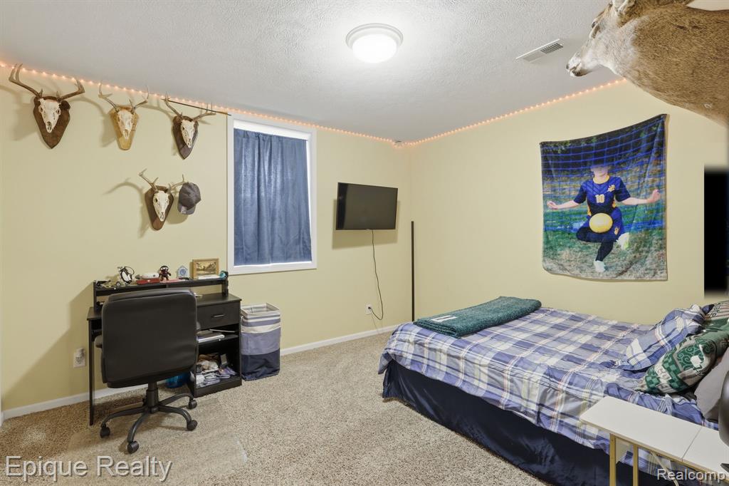 22550 W Ferden Road, Bannister, MI 48807 — Photo 25