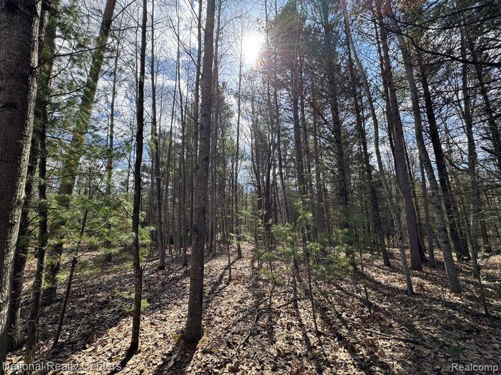 4233 Hardacre Trail, Houghton Lake, MI 48629 — Photo 9