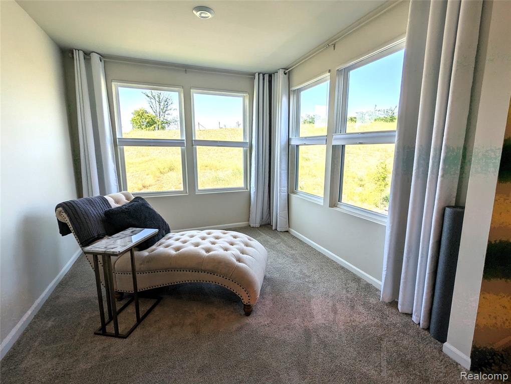 4709 BROOMFIELD Way, Lake Orion, MI — Photo 23