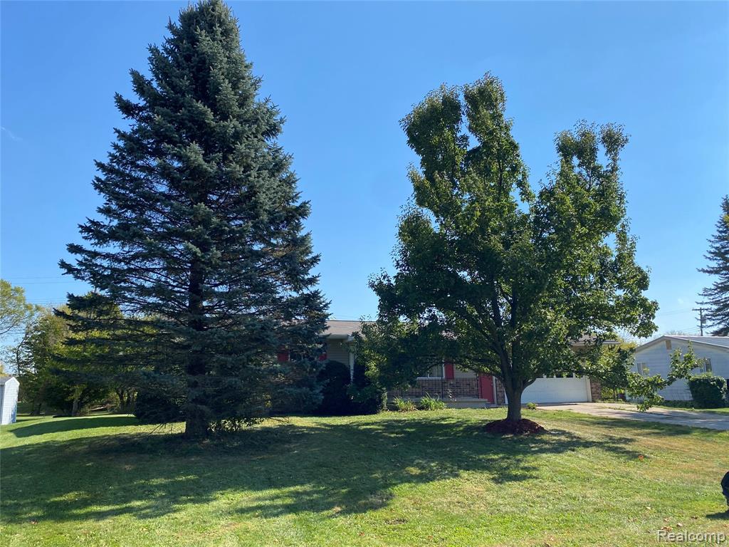 6317 2nd Street, Mayville Vlg, MI 48744 — Photo 25