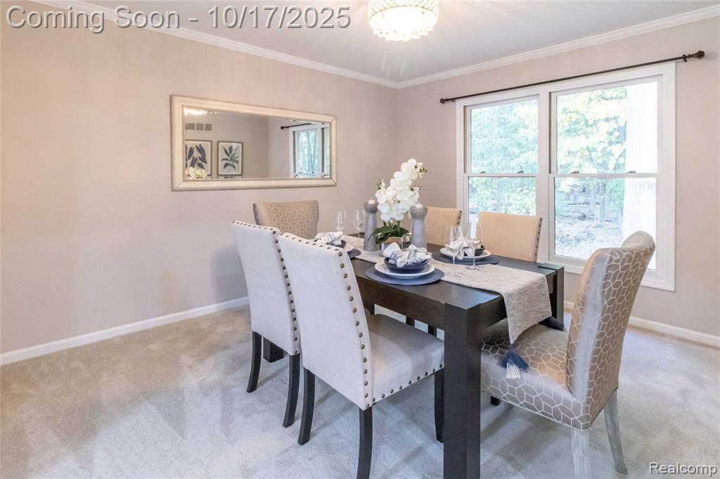 4070 Blue Heron Drive, Auburn Hills, MI 48326 — Photo 15