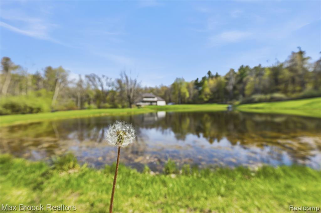 3295 Burning Tree Lane, Attica, MI 48412 — Photo 40
