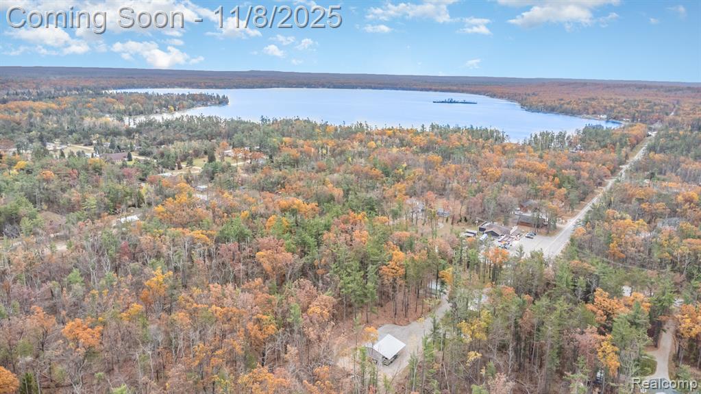 3506 County Road 612, Lewiston, MI 49756 — Photo 23