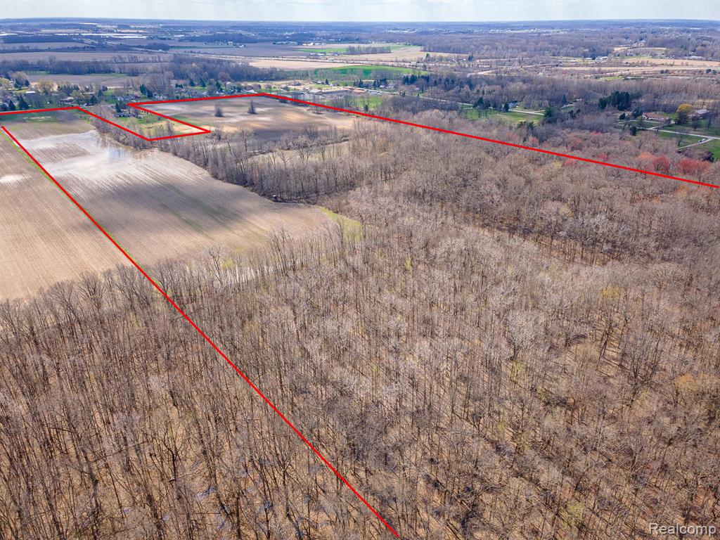 Parcel 5 Carleton Rockwood, Carleton, MI 48117 — Photo 10