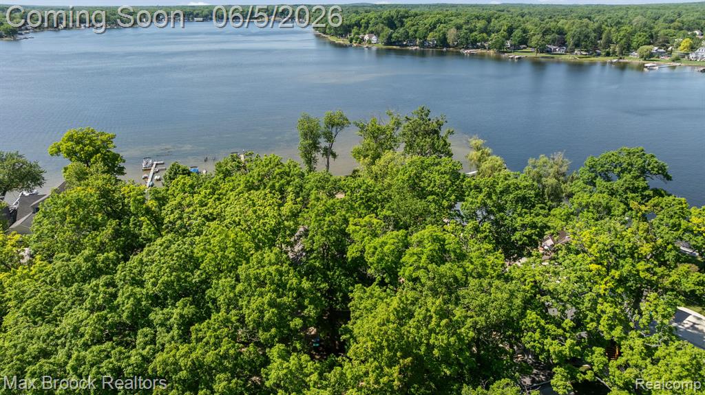 5338 Wildwood Drive, Howell, MI 48843 — Photo 44