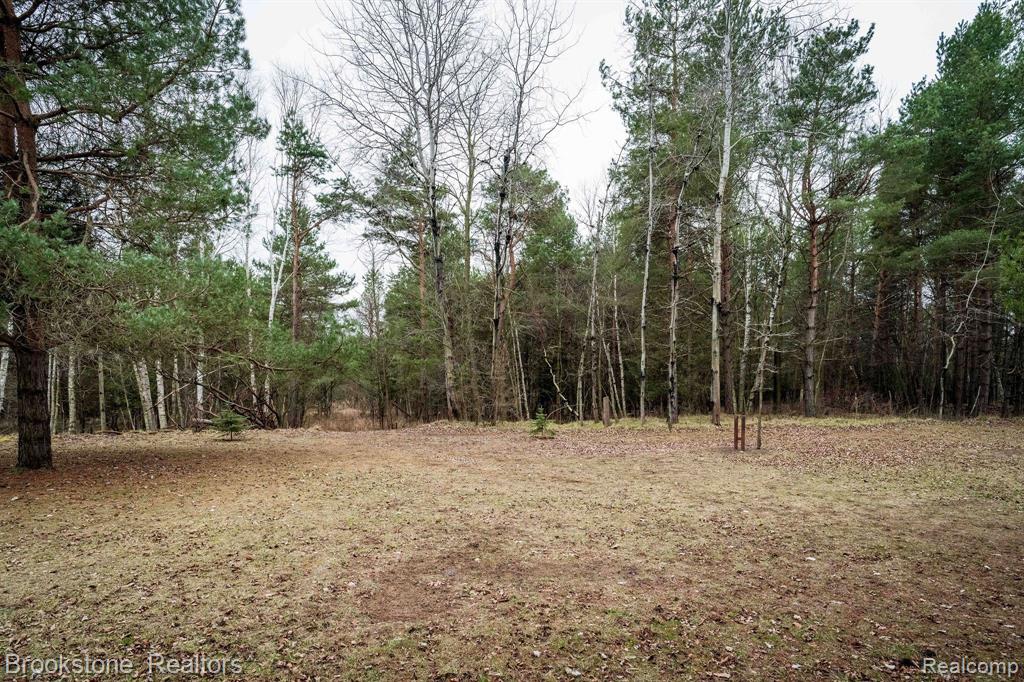 5542 CASS RIVER Road, MI — Photo 57