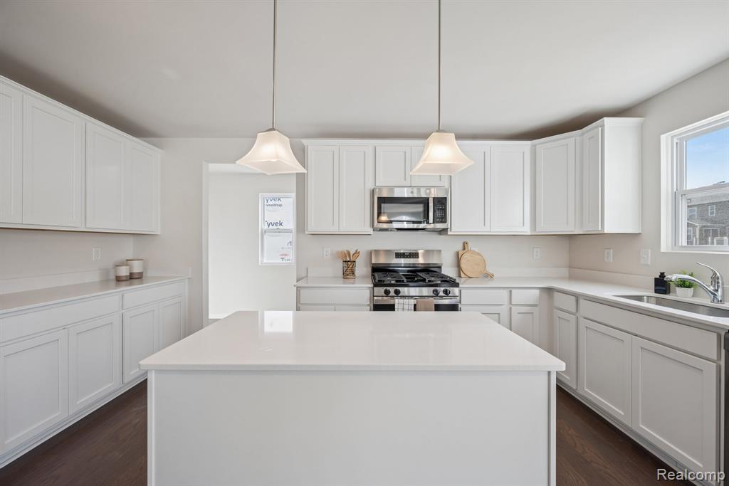 606 Harvest Way, Chelsea, MI 48118 — Photo 6