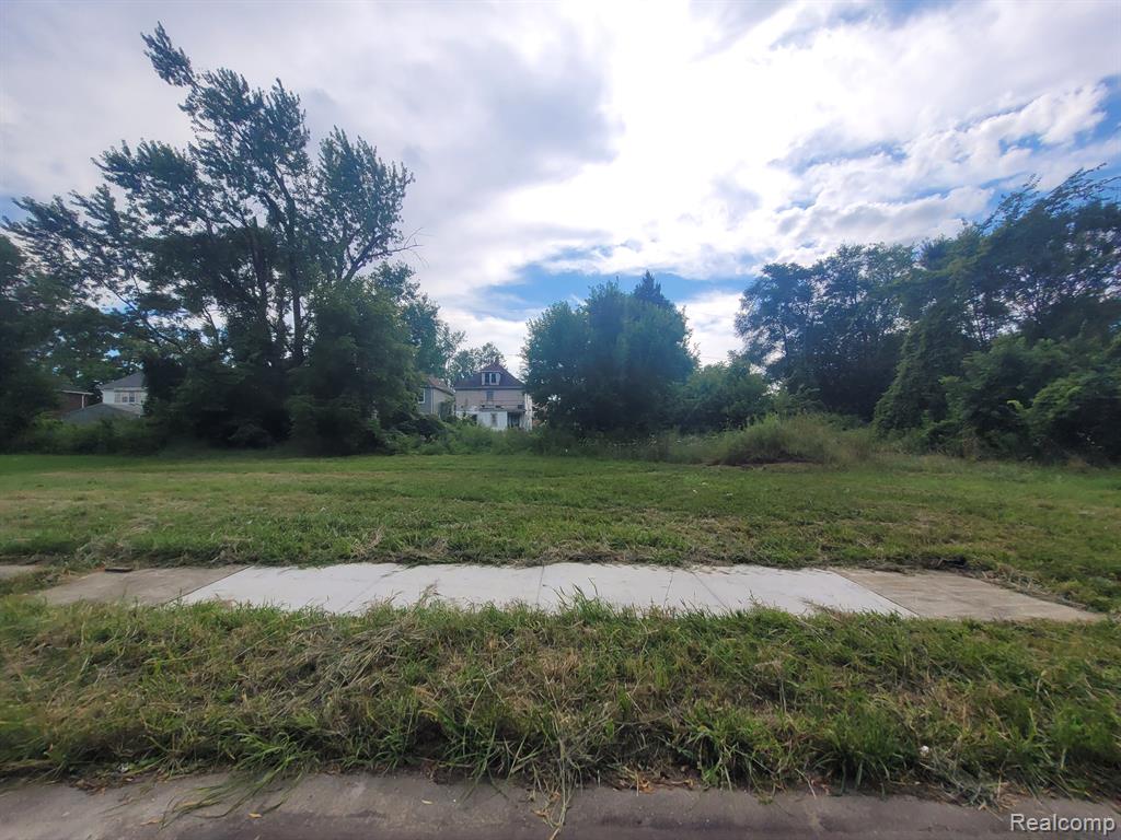 3443 BEALS Street, Detroit, MI 48214 — Photo 11