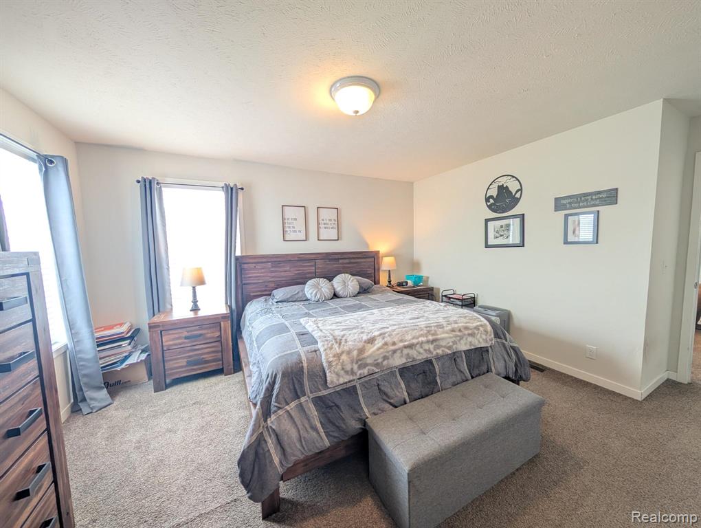 11219 Wildbrook Court, South Lyon, MI 48178 — Photo 10