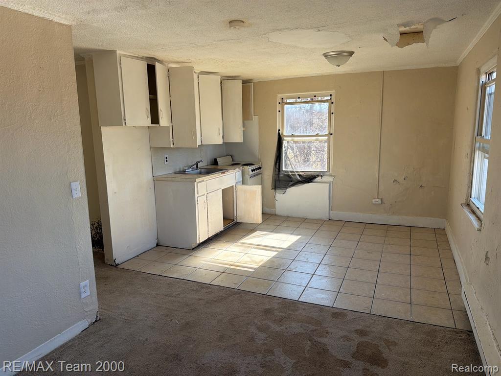10625 Telegraph Road, Erie, MI — Photo 10