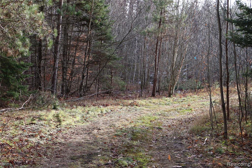 #A W Pendills Lake Road, Brimley, MI 49715 — Photo 42