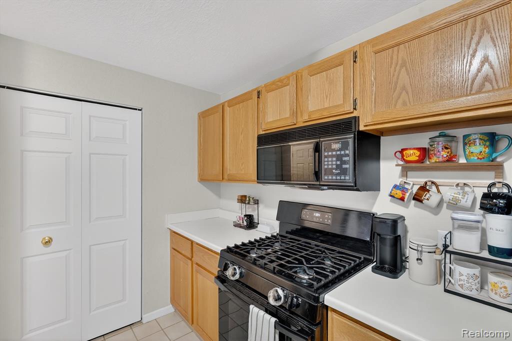 613 Curzon Court, 203, Howell, MI 48843 — Photo 10