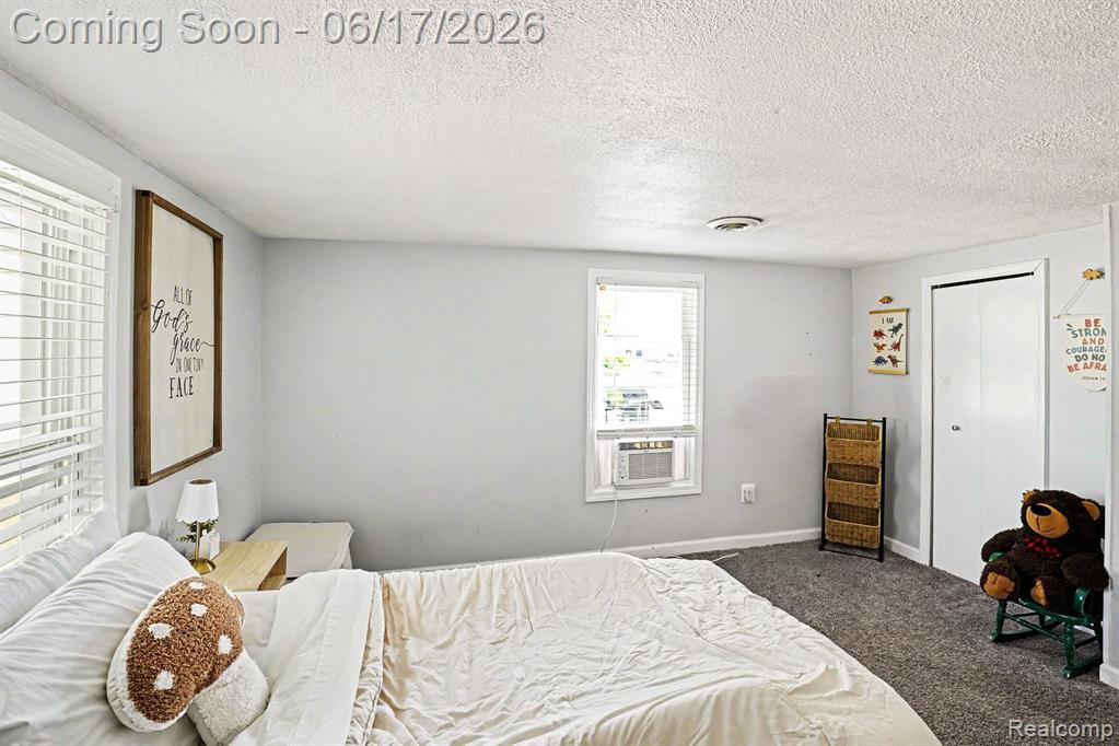 651 S Elm Street, Lapeer, MI 48446 — Photo 10