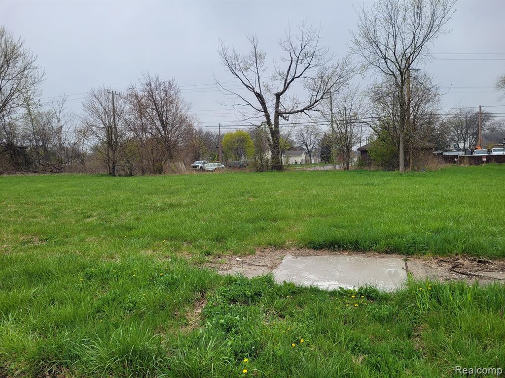 3951 BEACONSFIELD Street, Detroit, MI 48224 — Photo 2