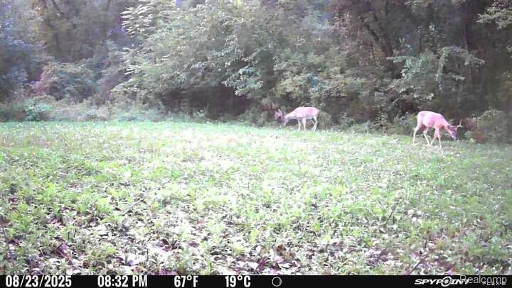 V/L BLAKE Road, Jackson, MI 49201 — Photo 7