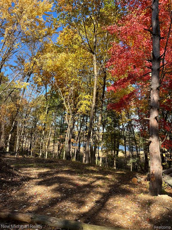 11461 WHITE LAKE Road, Fenton, MI, 48430