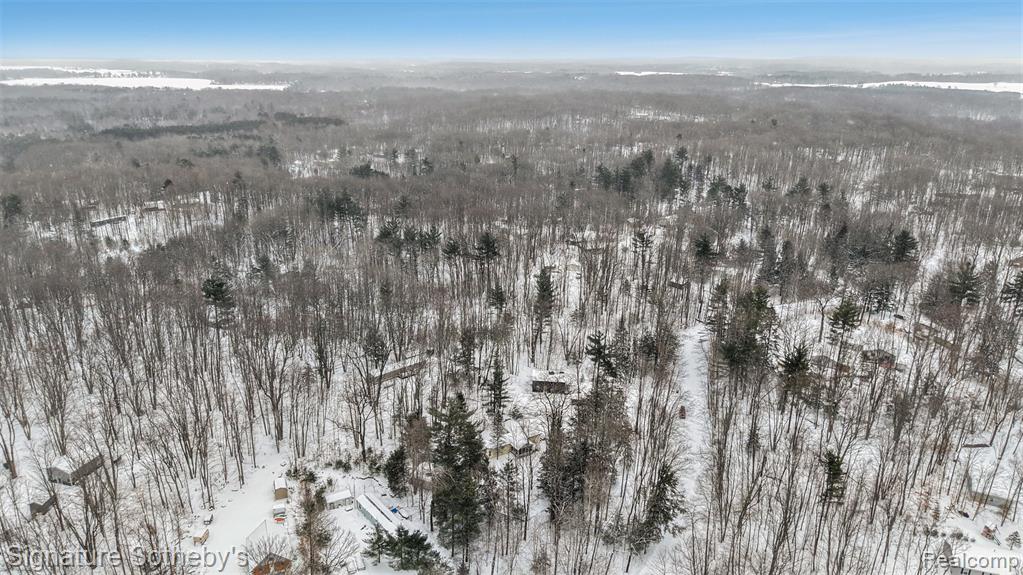 229 Forest Trail, Leroy, MI 49655 — Photo 26