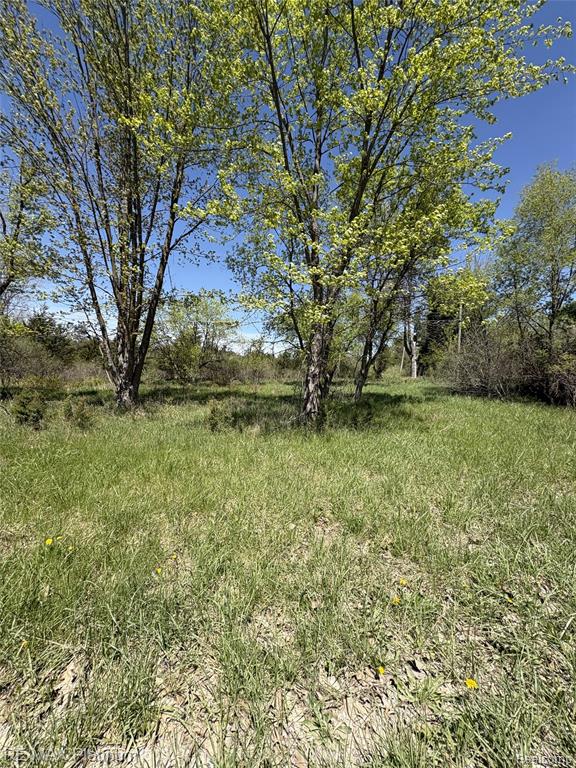 Parcel 7 Fisher Road, Howell, MI 48855 — Photo 6