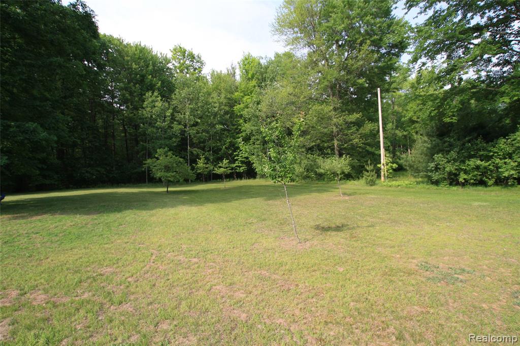 12850 East Road, Burt, MI 48417 — Photo 4