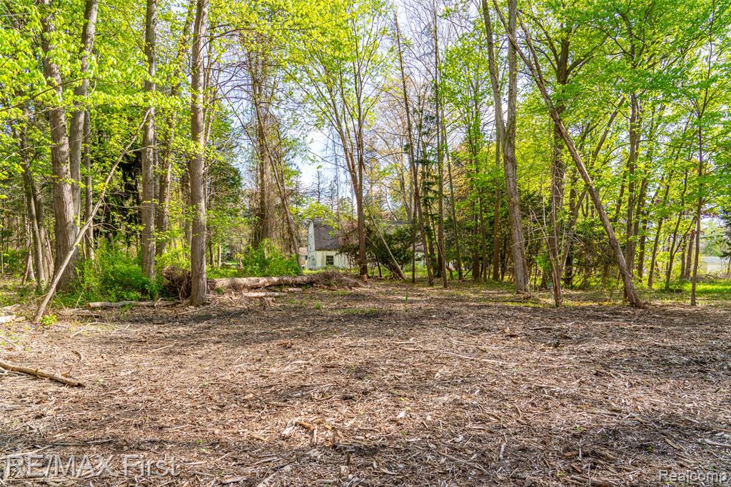 17397 Millar Road, Clinton Twp, MI 48036 — Photo 11