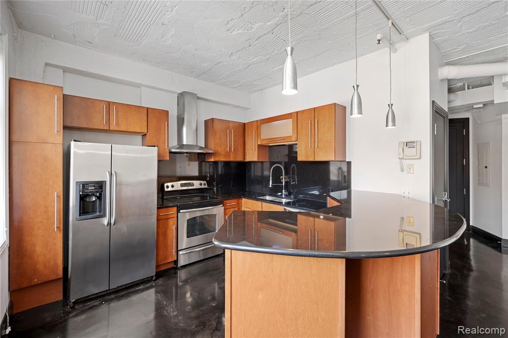 2233 Park Avenue, Detroit, MI 48201 — Photo 11
