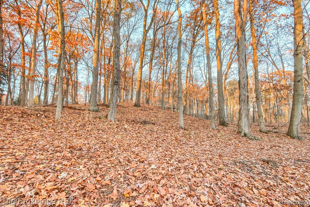 2653 Ravine Side Lane N, Howell, MI 48843 — Photo 10