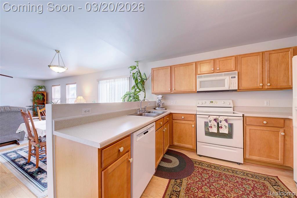 8627 Cass River Drive, Fowlerville, MI 48836 — Photo 7