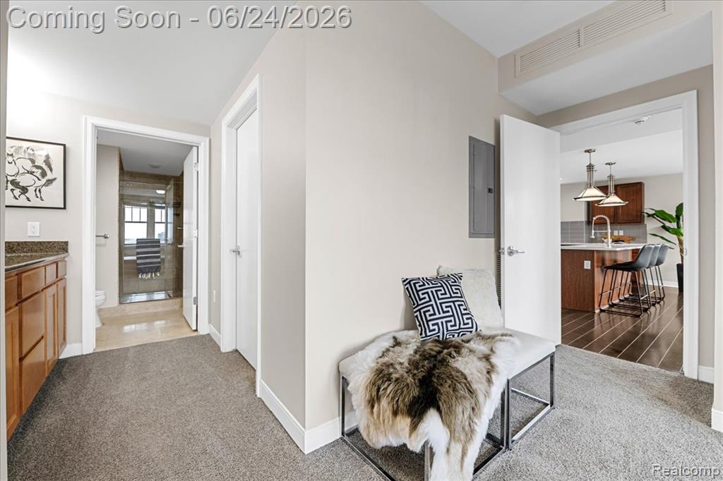 525 W LAFAYETTE Boulevard, 13E, Detroit, MI 48226 — Photo 27