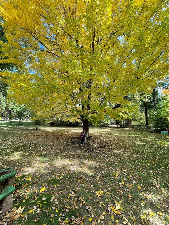 1820 W Genesee Street, Lapeer, MI 48446 — Photo 41