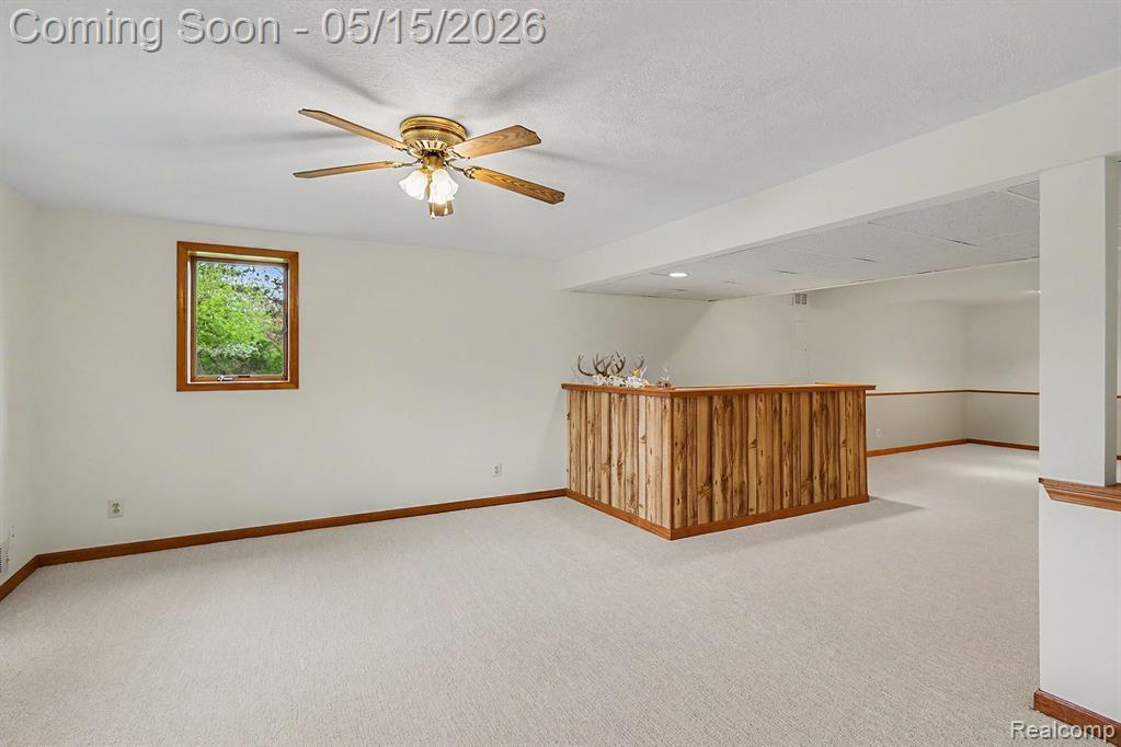 7700 N Dewitt Road, MI 48879 — Photo 17