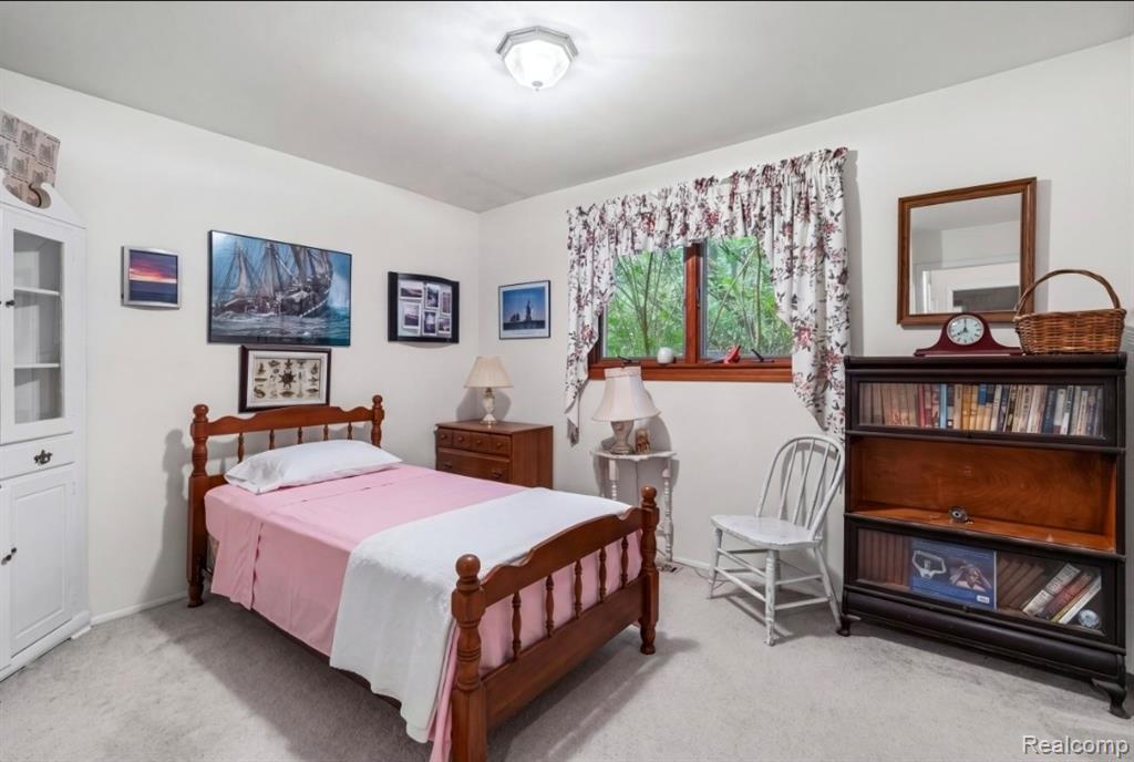 439 Windmill Point Drive, Flushing, MI 48433 — Photo 19