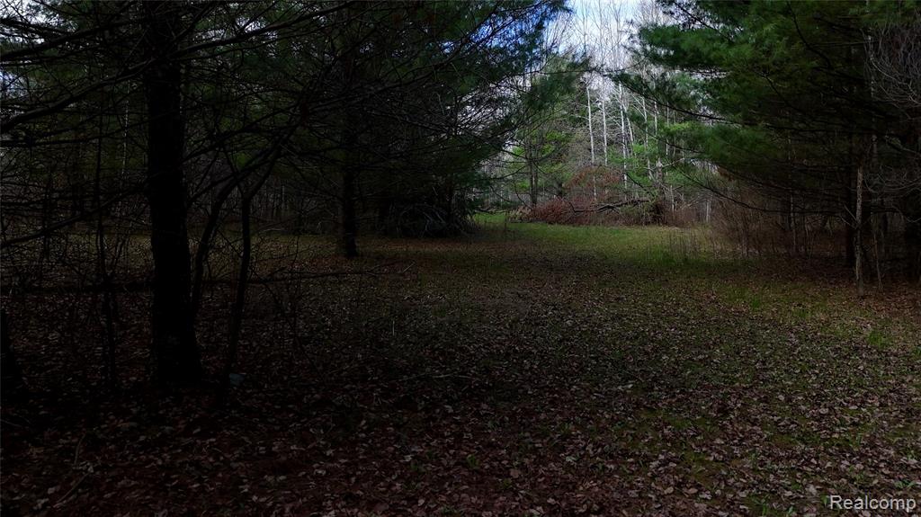 6392 20th Ave Avenue, Sears, MI 49679 — Photo 37