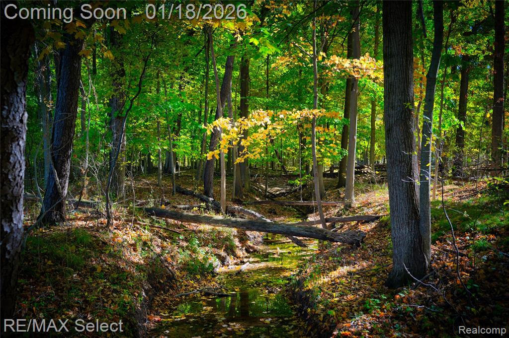 9305 Vassar Road, Grand Blanc, MI 48439 — Photo 10