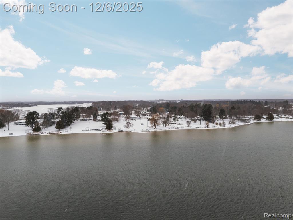 5886 S Green Avenue, Fremont, MI 49412 — Photo 44